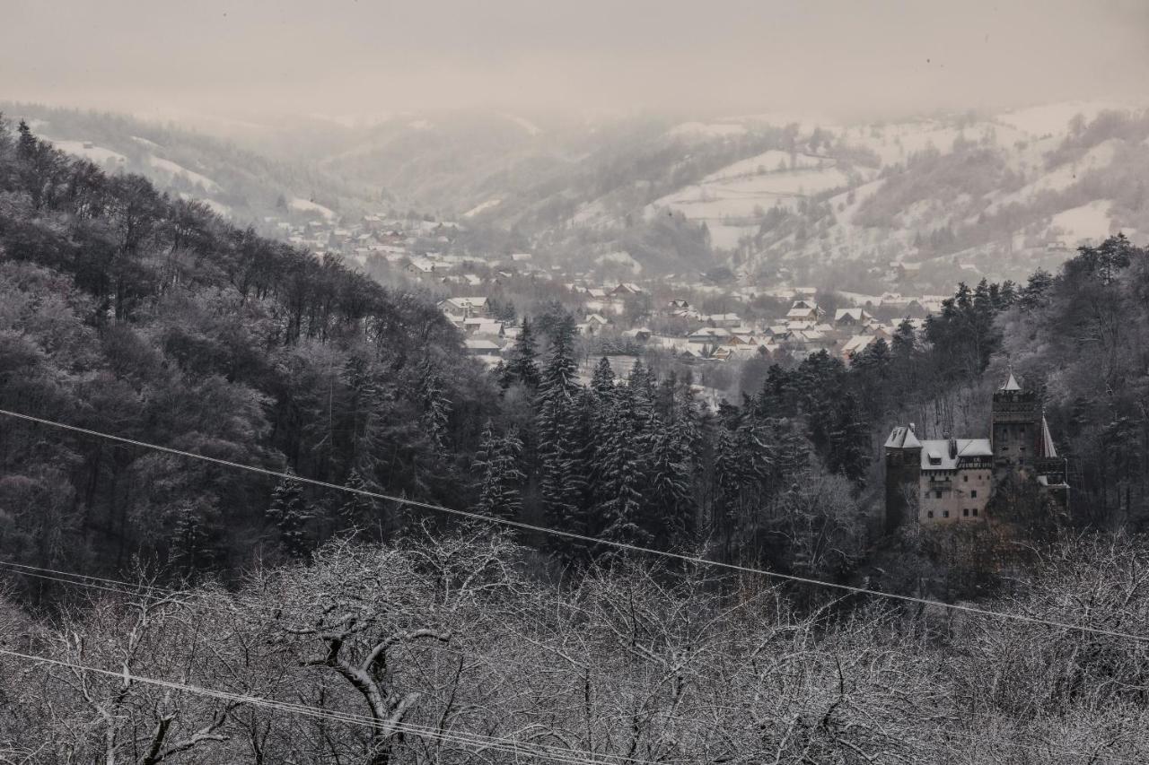 Hotel Contele Vladimir Bran  Zewnętrze zdjęcie