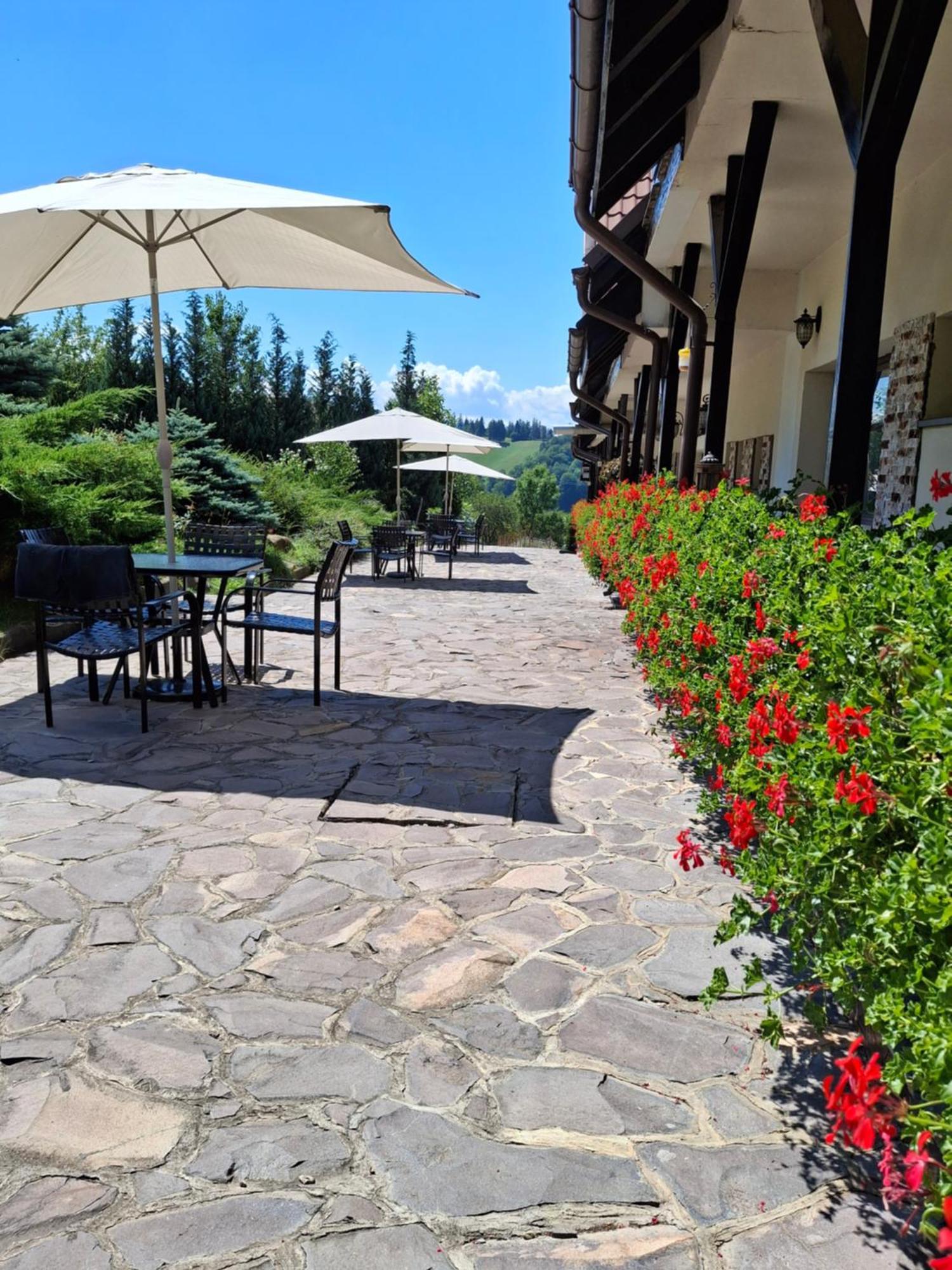 Hotel Contele Vladimir Bran  Zewnętrze zdjęcie